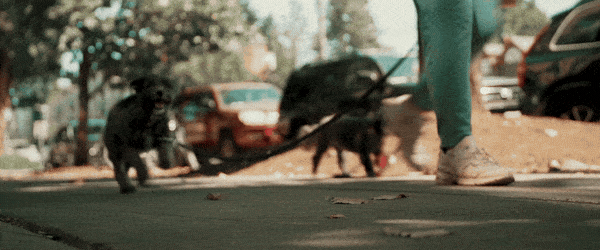 FILM LUT preview 7